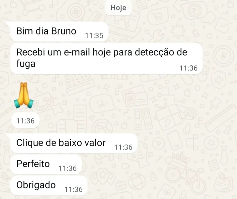 Conversa de WhatsApp de um cliente: Pedido por email no próprio dia